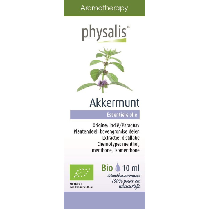 Olejek Eteryczny Mięta Polna BIO 10ml | PHYSALIS - Ekochatka