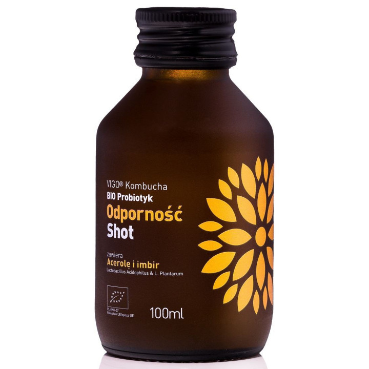 Shot Kombucha Probiotyk Odporność Bezglutenowy BIO 100ml | VIGO YOKO - Ekochatka