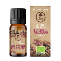 Olejek Eteryczny Waleriana BIO 10 ml - Dary Natury