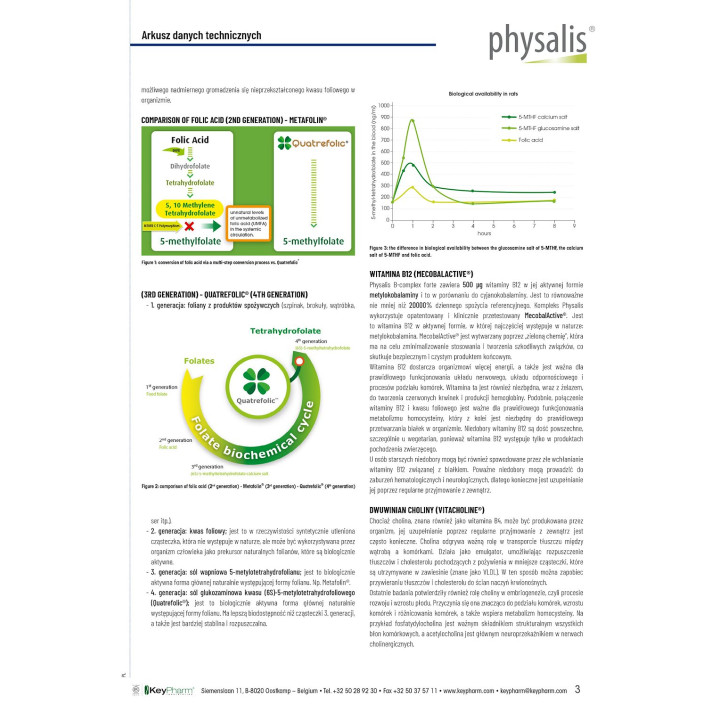 Witamina B Complex Forte 30 Tabletek | PHYSALIS - Ekochatka