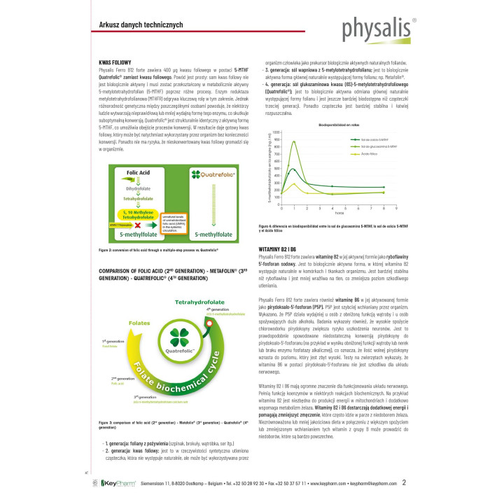 Żelazo + Witamina B12 Forte 45 Tabletek | PHYSALIS - Ekochatka