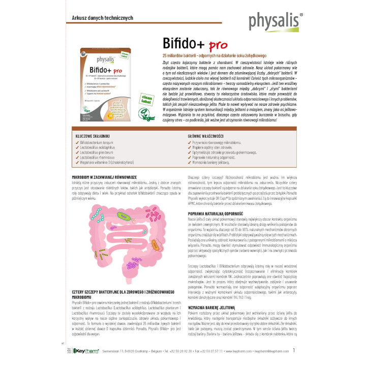 Kapsułki na Odbudowę Flory Jelit (Bifido+ Pro) 30szt. | PHYSALIS - Ekochatka