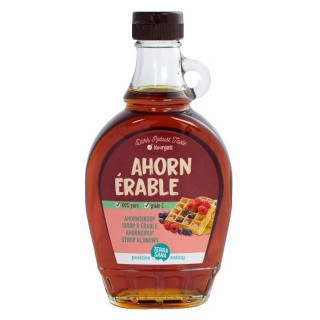 Syrop Klonowy Klasa C BIO 330 g - Terrasana - Ekochatka