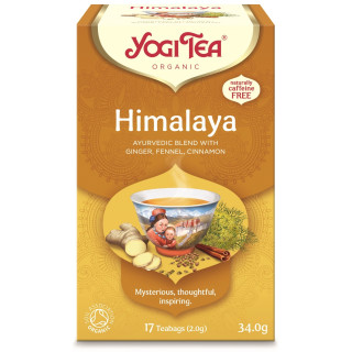 Herbatka Himalaya z Imbirem i Cynamonem BIO 17 x 2 g - Yogi Tea - Ekoc