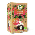 Herbatka Dobry Humor Piramidki BIO 45 g - Dary Natury