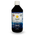 Koncentrat Napoju Probiotycznego Owoce Lasu Bezglutenowy BIO 500 ml - Joy Day