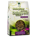Ostropest Plamisty Ziarno BIO 200 g - Dary Natury