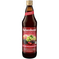 Sok Wieloowocowy NFC Regenerujący BIO 750 ml - Rabenhorst