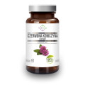 Czerwona Koniczyna Ekstrakt 300 mg 60 Kapsułek - Soul Farm