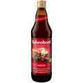 Sok Wieloowocowy NFC Antyoksydant BIO 750 ml - Rabenhorst