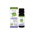 Olejek Eteryczny z Kadzidłowca ECO 10 ml - Physalis