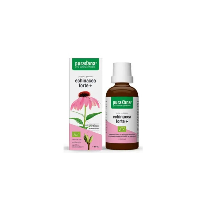 Jeżówka Purpurowa Echinacea Forte Krople BIO 50 ml - Purasana - Ekocha