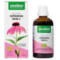 Echinacea Forte Jeżówka Purpurowa Krople BIO 100 ml - Purasana