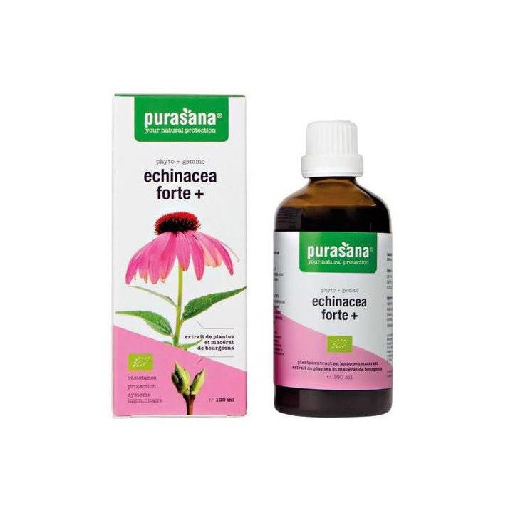 Echinacea Forte Jeżówka Purpurowa Krople BIO 100 ml - Purasana - Ekoch