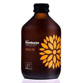 Kombucha z Acerolą i Imbirem Bezglutenowa BIO 330 ml - Vigo Yoko - Eko