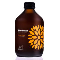 Kombucha z Acerolą i Imbirem Bezglutenowa BIO 330 ml - Vigo Yoko