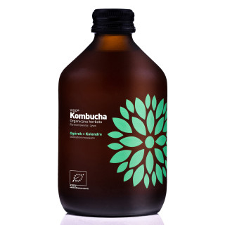 Kombucha z Ogórkiem i Kolendrą Bezglutenowa BIO 330 ml - Vigo Yoko - E