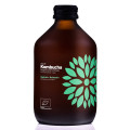 Kombucha z Ogórkiem i Kolendrą Bezglutenowa BIO 330 ml - Vigo Yoko