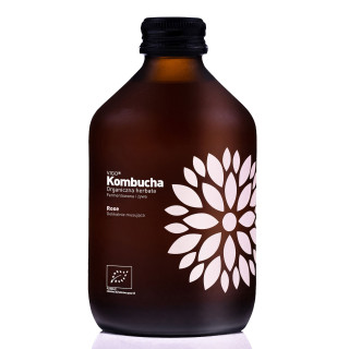 Kombucha Różana Bezglutenowa BIO 330 ml - Vigo - Ekochatka