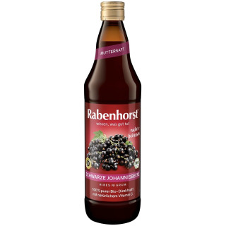 Sok z Czarnej Porzeczki NFC BIO 750 ml - Rabenhorst - Ekochatka