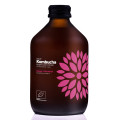 Kombucha z Mango i Marakują Bezglutenowa BIO 330 ml - Vigo Yoko