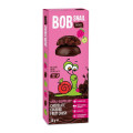 Przekąska Jabłko-Malina w Ciemnej Czekoladzie Belgijskiej Bezglutenowa 30 g - Bob Snail