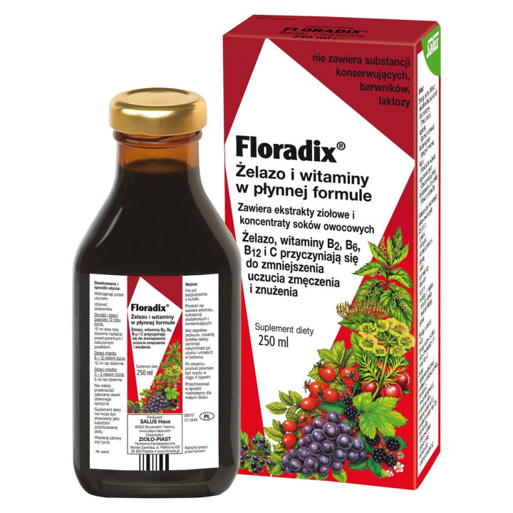 Floradix Żelazo i Witaminy w Płynie 250 ml - Salus - Ekochatka
