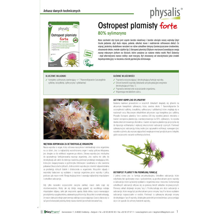 Ostropest Plamisty Forte 80% Sylimaryny 45 Tabletek - Physalis - Ekoch