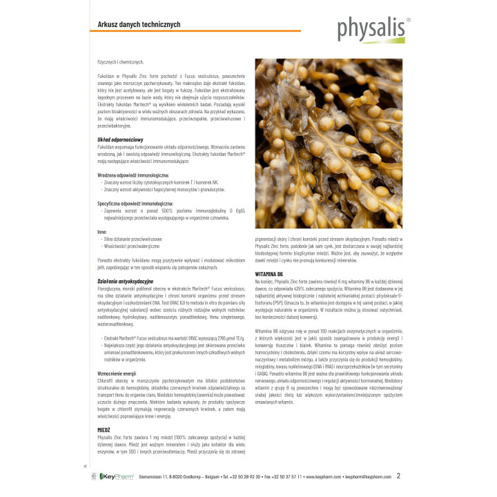 Cynk Forte z Miedzią i Witaminą B6 30 Tabletek - Physalis - Ekochatka