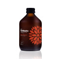 Kombucha Malina i Rozmaryn Bezglutenowa BIO 330 ml - Vigo