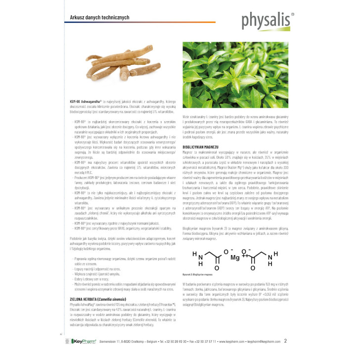 Ashwagandha KSM-66 + Magnez 30 Tabletek - Physalis - Ekochatka