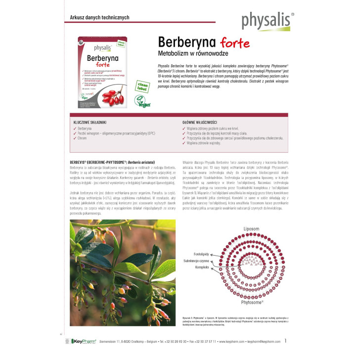 Berberyna Forte z Chromem 30 Tabletek - Physalis - Ekochatka