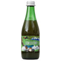 Kombucha Healthy Sencha BIO Zielona Herbata 330 ml - Kombucha By Laurent
