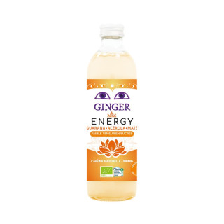 Piwo Imbirowe Energy Bezalkoholowe BIO Fair For Life 350 ml - Karma - 
