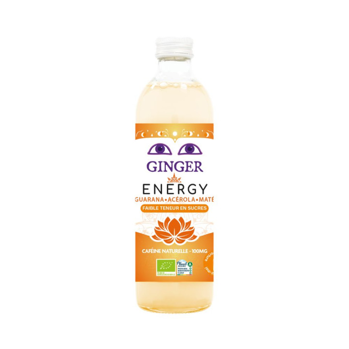 Piwo Imbirowe Energy Bezalkoholowe BIO Fair For Life 350 ml - Karma - 
