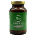 Ostropest + Karczoch Kapsułki Wegańskie 90 szt. - Olma Pharm