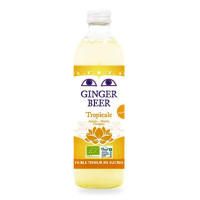 Piwo Imbirowe o Smaku Owoców Tropikalnych Bezalkoholowe BIO Fair For Life 750 ml - Karma
