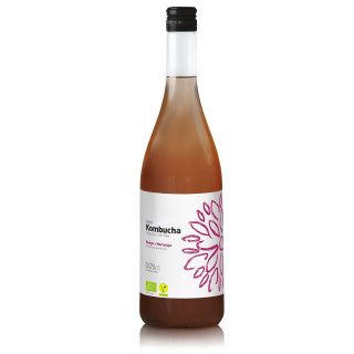 Kombucha z Mango i Marakują Bezglutenowa BIO | VIGO YOKO - Ekochatka