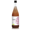 Kombucha z Mango i Marakują Bezglutenowa BIO 750 ml - Vigo