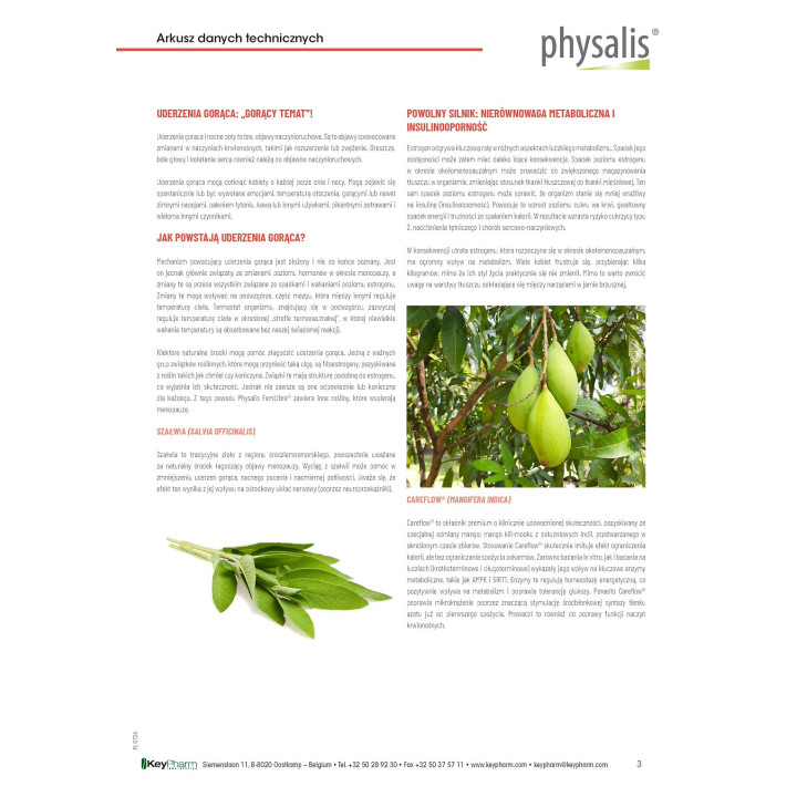 Tabletki na Menopauzę FemLibre Suplement Diety Wegański 30 szt. - Physalis