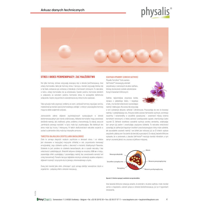 Tabletki na Menopauzę FemLibre Forte Wegańskie 30 szt. - Physalis