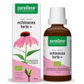 Jeżówka Purpurowa (echinacea Forte) Krople BIO 50 ml - Purasana