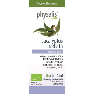 Olejek Eteryczny Eukaliptus Australijski BIO 10ml | PHYSALIS - Ekochatka